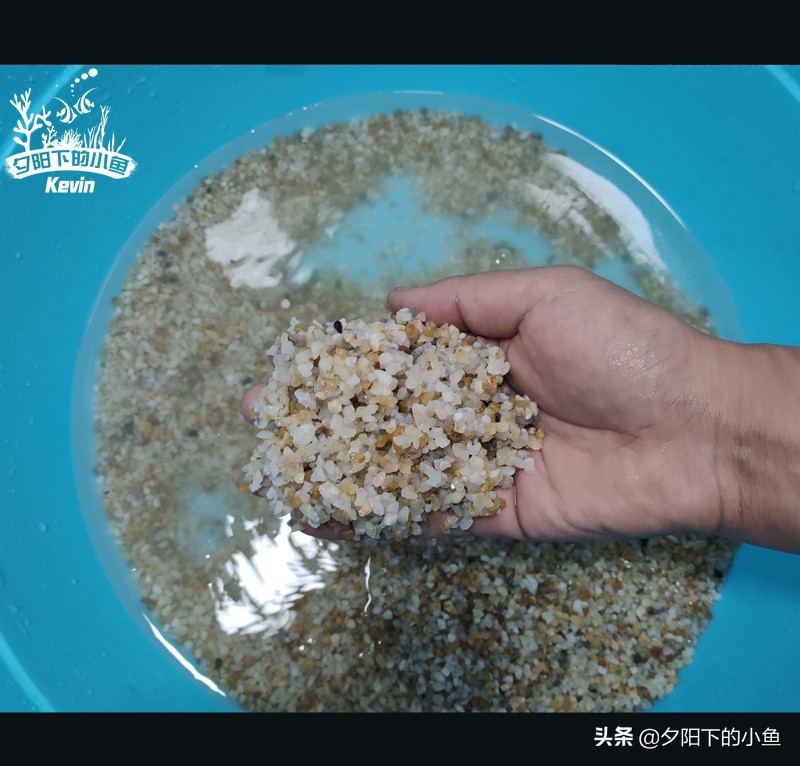 父子齐上阵全集,父子齐上阵完整视频