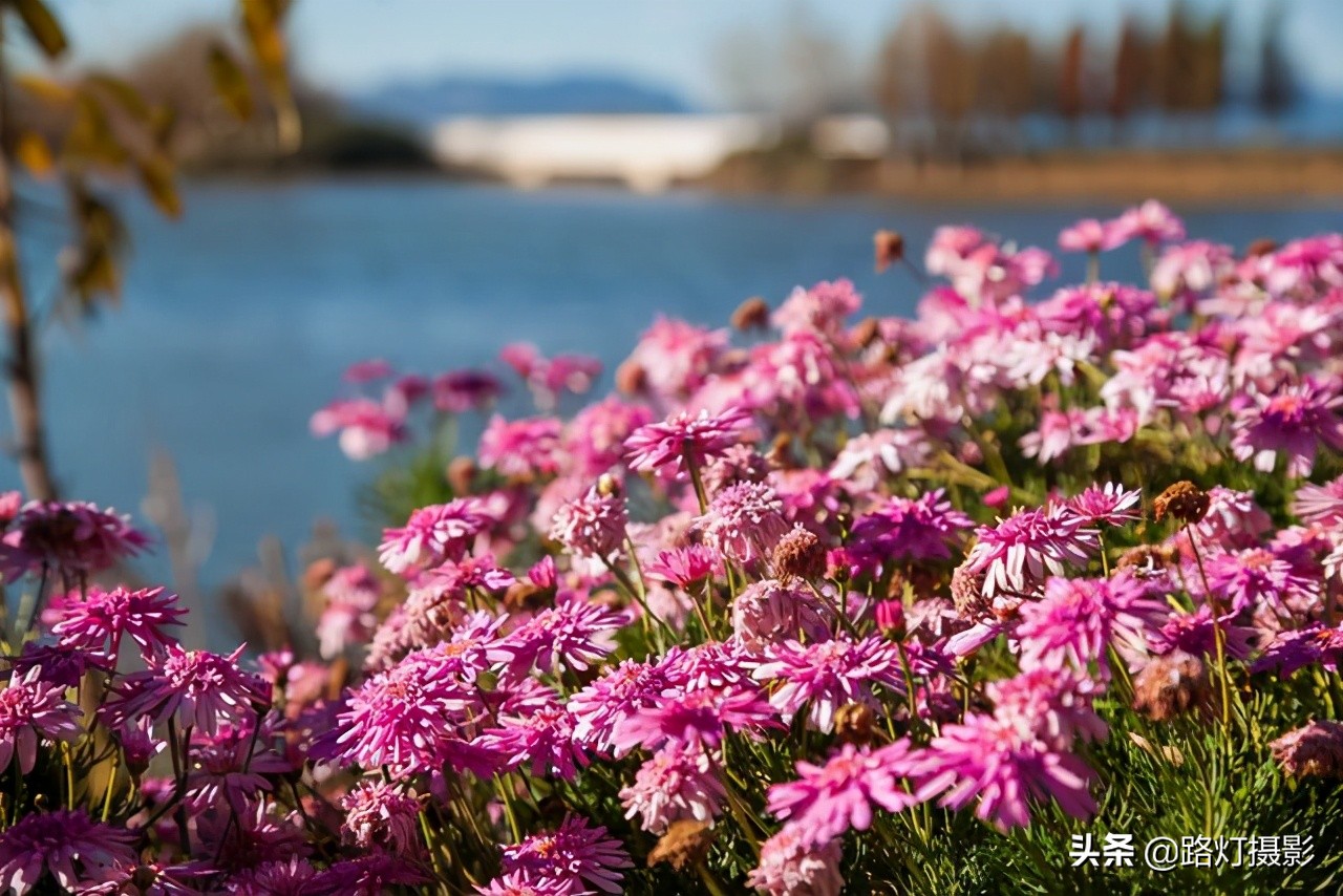 夏天最凉爽的5个避暑城市,夏季最值得去的十大避暑城市