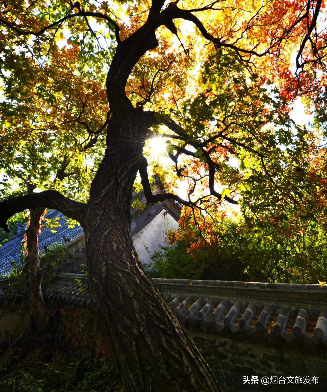 大自然打翻了调色板的唯美句子,烟台自然景点