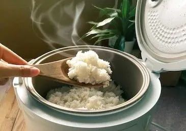 自动电饭煲,自动电饭煲的用法