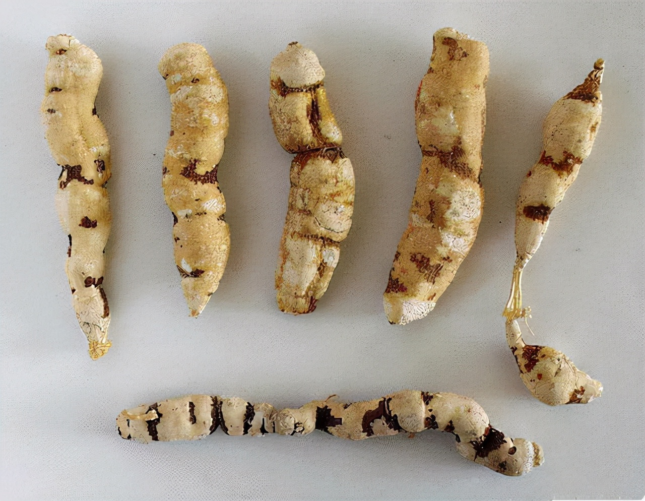 子宫肌瘤甲状腺结节,甲状腺结节中药方大全