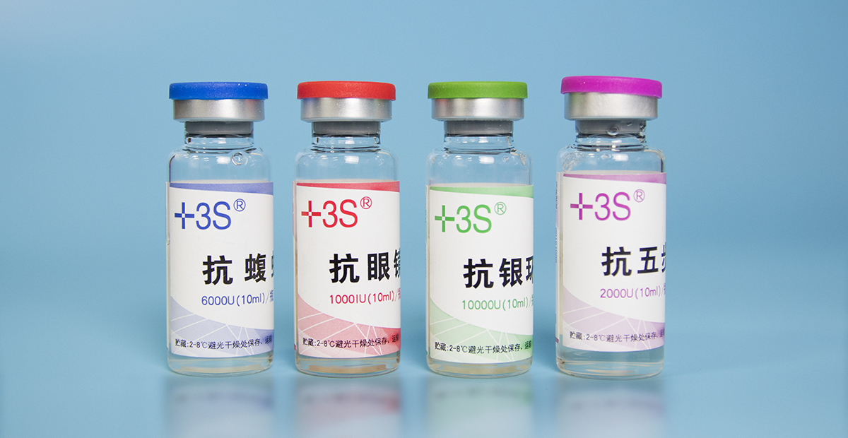 罕见毒蛇双头蛇,中国境内毒蛇双头蛇