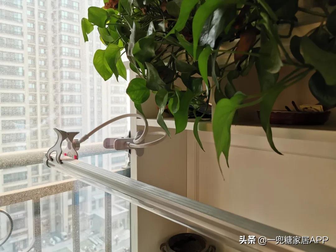 春节必备的十件家居好物,十个必备的家居好物