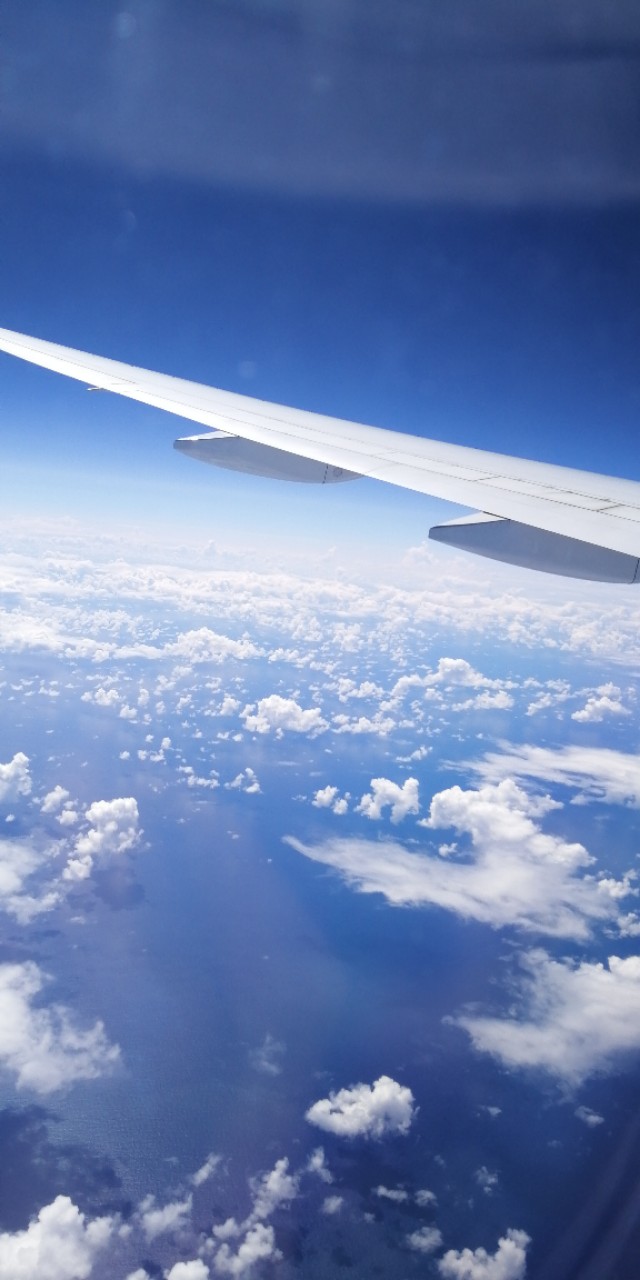 后疫情旅游趋势,后疫情时代下的出国旅行攻略