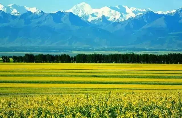 这就是昭苏，万物复苏的地方