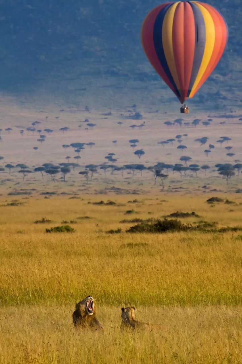 世界上最幸福的事400字,世界上最幸福的事情你做过几件