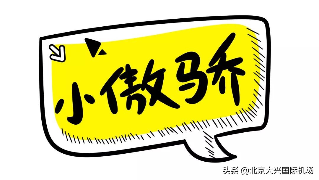 惊喜不断的惊艳亮相,惊喜不断开箱视频在线观看