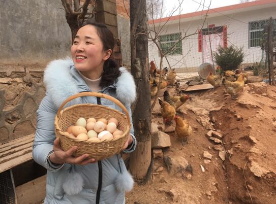 蒲公英、玉米须也能卖？人大代表梁倩娟：有淘宝电商，一切皆可盘