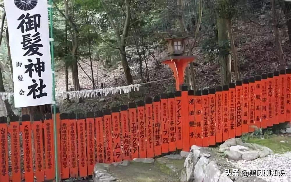 为头发祈福，日本为防止秃头丧心病狂！100年后，秃顶才是归宿？