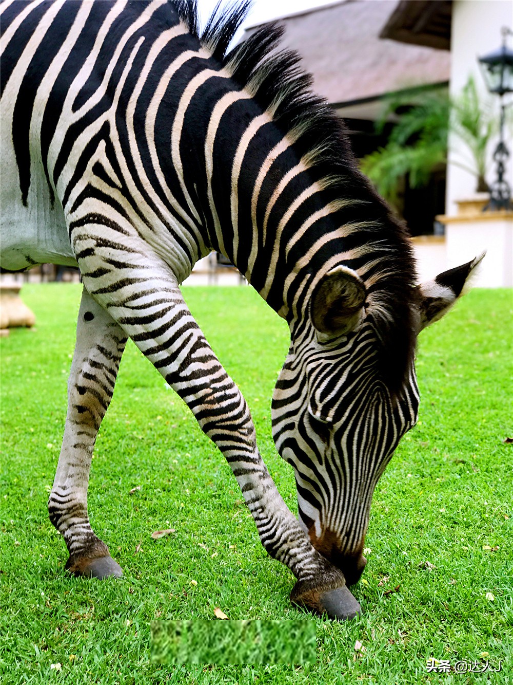 #全民热遗#小天独家，你敢不敢在这个瀑布上洗澡？