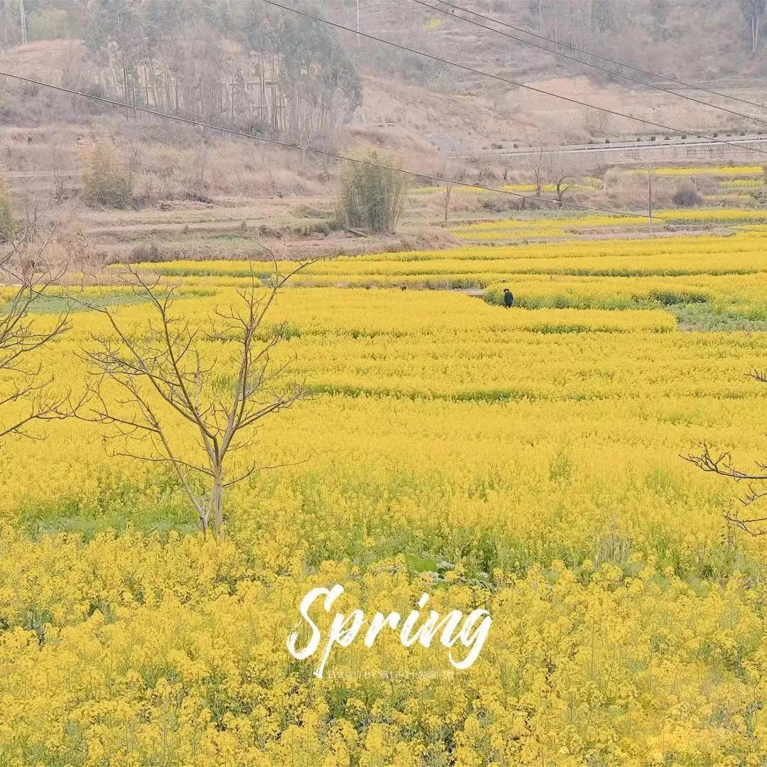 昆明亲子游自驾游攻略推荐路线,昆明周末亲子游十大好去处