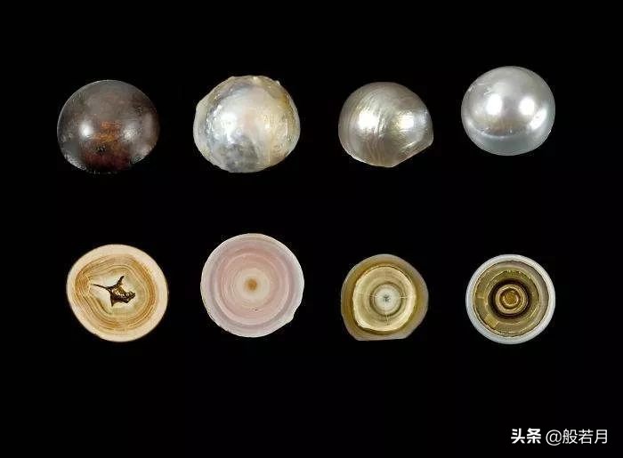 市面上99%的珍珠是什么,市场上卖的珍珠为啥那么便宜