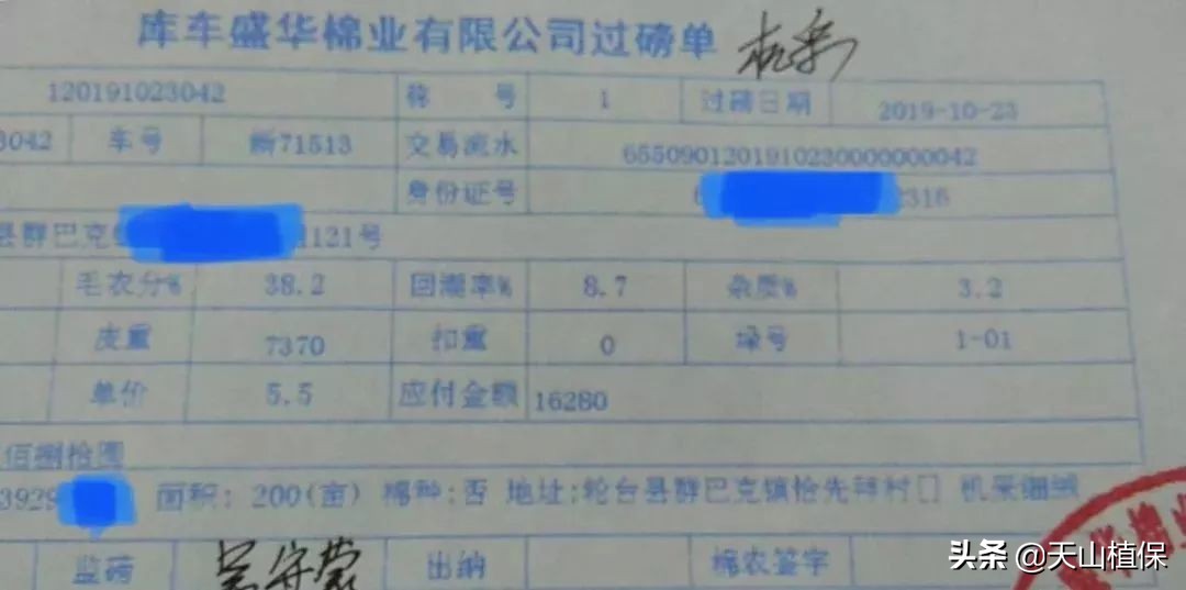 11月25日新疆籽棉收购价格,籽棉收购价格继续回落