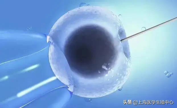 试管知识大全视频教程,试管这方面的知识