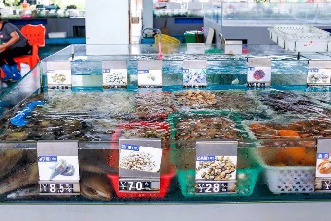 美丽椰城海口夜景,品味海口的韵味感受椰城的魅力