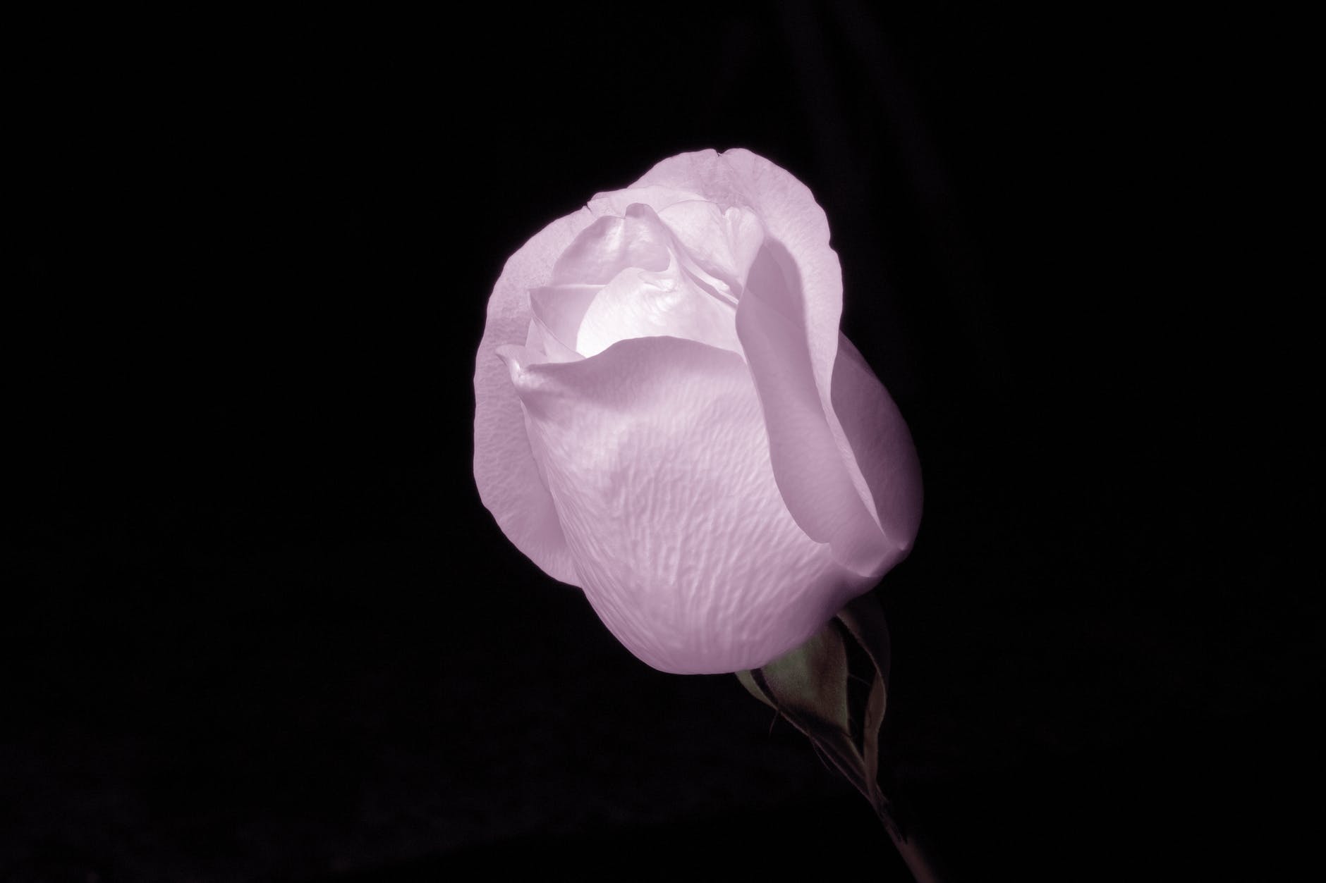 男人频繁变心五句话让他后悔,当男人变心了就别死缠烂打了