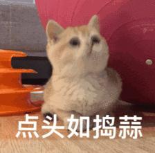 漳平人被诈骗的案件,漳平全部诈骗名单