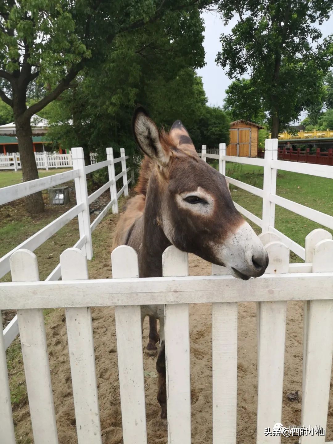 极简风网红民宿,8家网红民宿推荐
