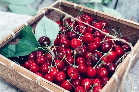 价格“三连跌”，比进口便宜3倍，却卖不过进口，网友：人傻钱多