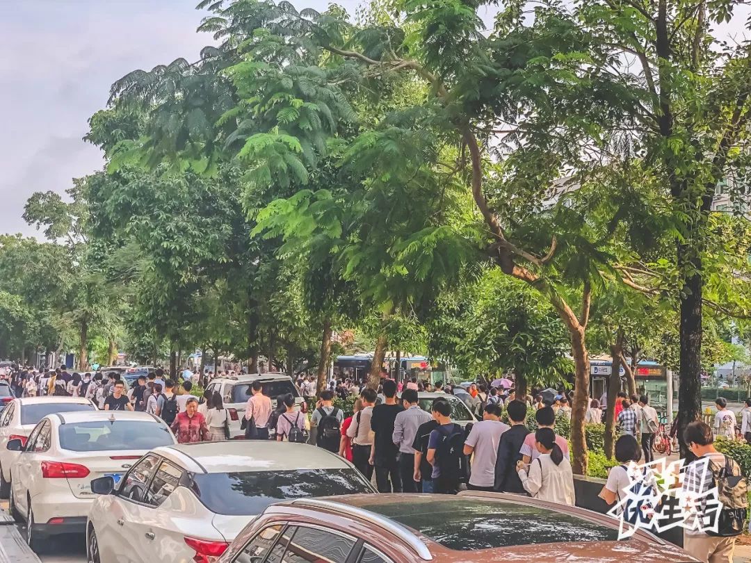 固戍深圳,固戍人在深圳