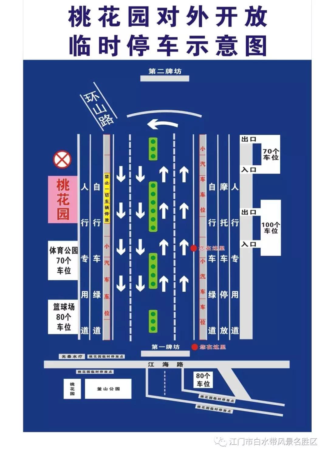 繁花似锦樱花美景,繁花似锦的花海