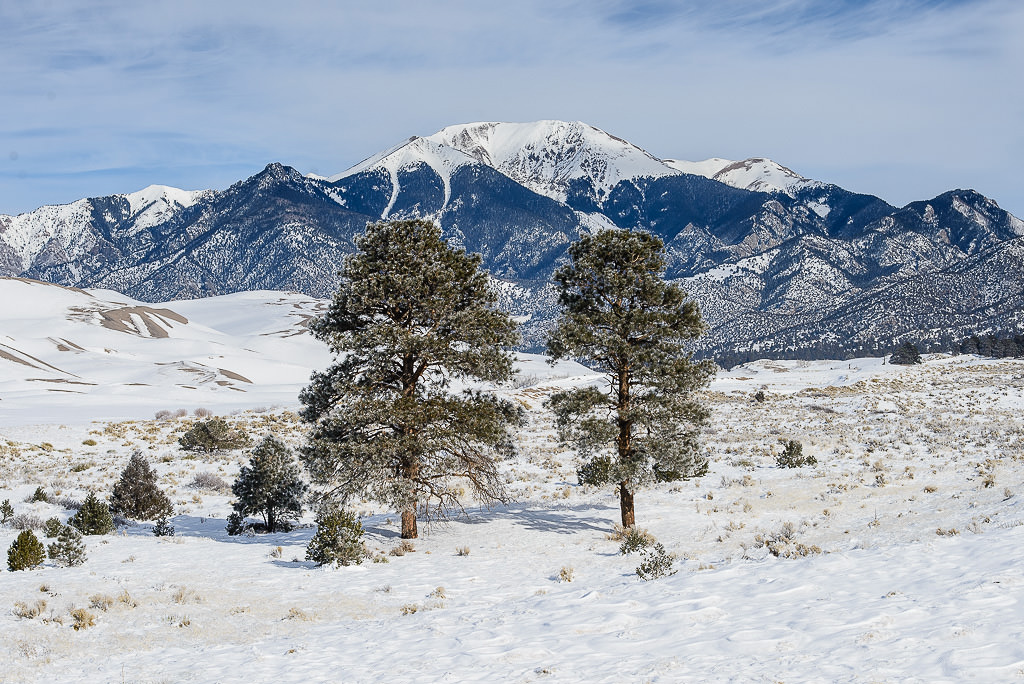 尼康58mmf1.4g,尼康58mmf1.4g镜头售价多少