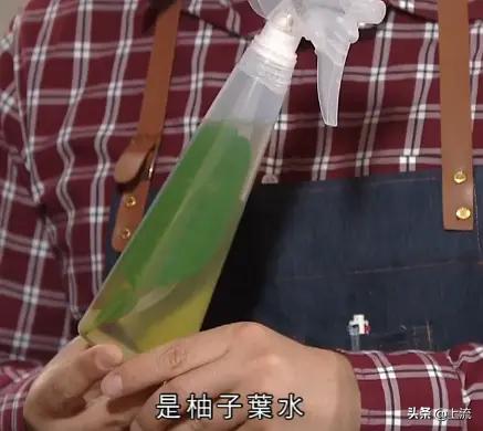 柚子叶洗澡是哪里的传统,柚子叶洗澡真的能转运么