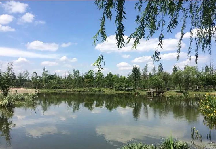 成都最新公园消息,成都陆续开放的公园