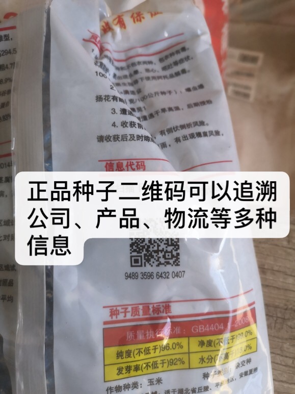 怎样看玉米种的真假,如何辨别新玉米种