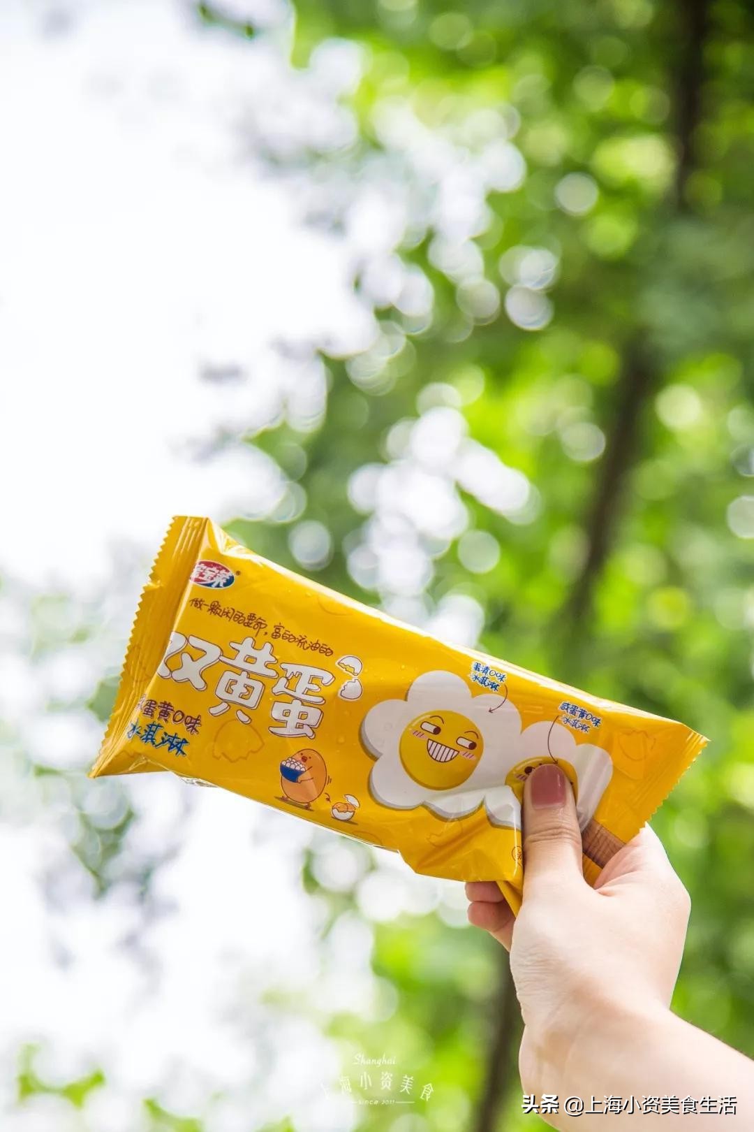 国内崛起的雪糕,中国风网红雪糕