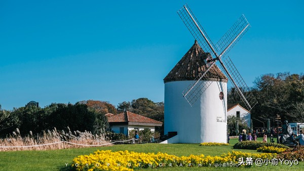 济州岛最值得去的地方,来济州岛第一天去哪玩