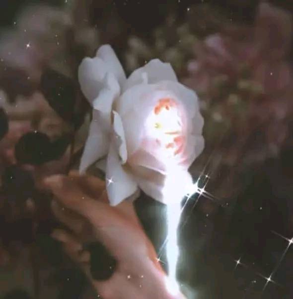 哪首歌藏着你的故事,你的故事藏在哪首歌里