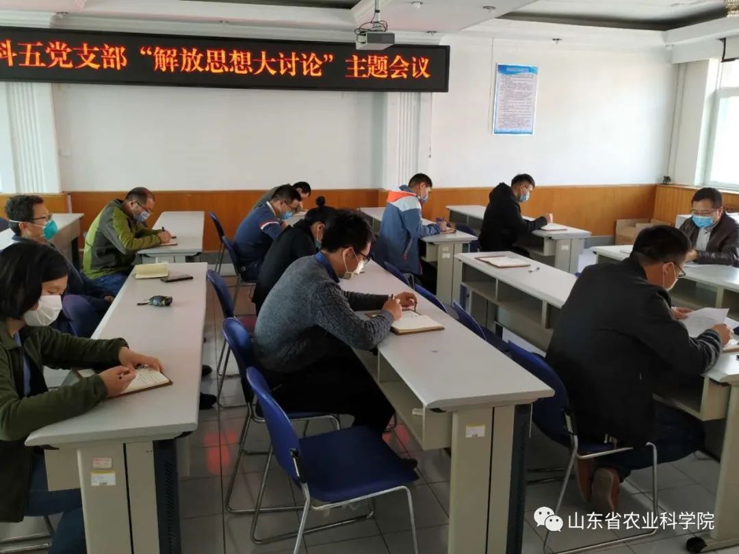 开展解放思想大讨论活动意见建议,以解放思想为导向