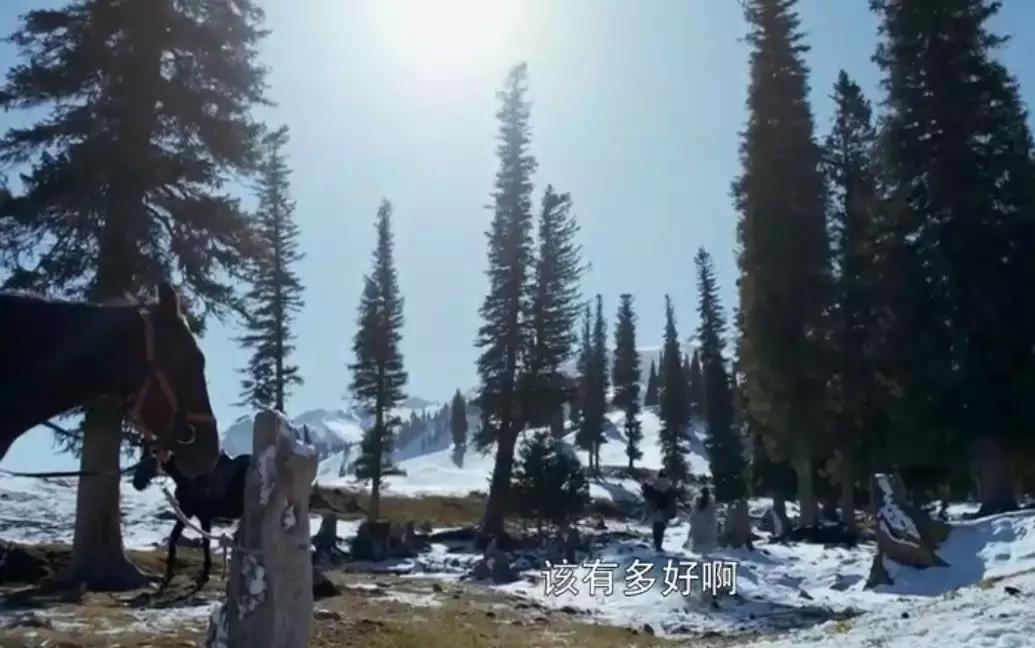 这实在令人惊奇:《将夜》竟也能穿越皮相“永夜月出”终极三问