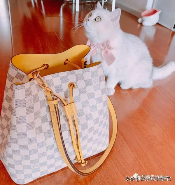 非常好看的宠物包,大家的包都带什么玩偶