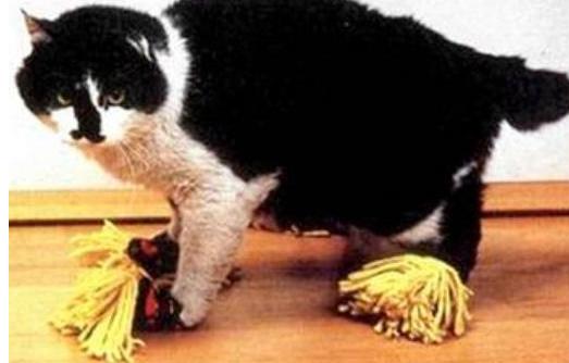 中国四大发明之一简单的发明过程,中国发明四大发明之一