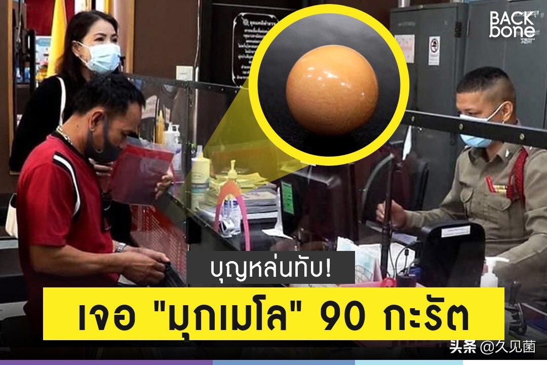 泰国男子海螺里吃出龙珠,泰国司机吃出橙色珠子