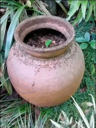 女生衣服尺码分别对应多少斤体重,女孩子衣服尺码跨度是个谜