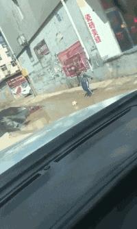 车贴幽默搞笑图片,车贴搞笑的图片