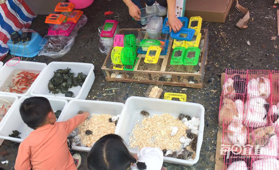 新坊路口村赶集,宜春新坊什么时候赶集