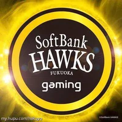 pdd在日本的地位,pdd人在日本