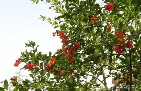 江苏旅游西山岛攻略图文,内湖洞庭西山岛