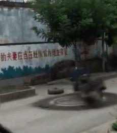 搞笑gif妹子这手速老厉害了,搞笑gif开心一刻不按常理出牌