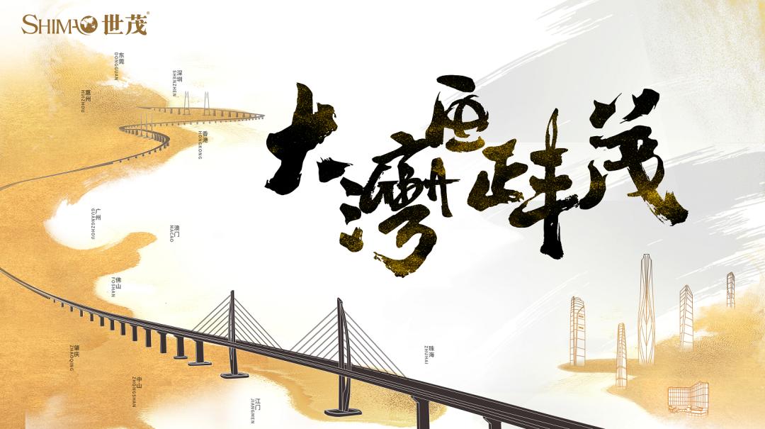 广深港珠澳,为粤港澳大湾区建设献上绵薄之力