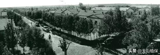 上榜啦！*疆新**鸟市和石市即将被国家命名！未来发展不可估量