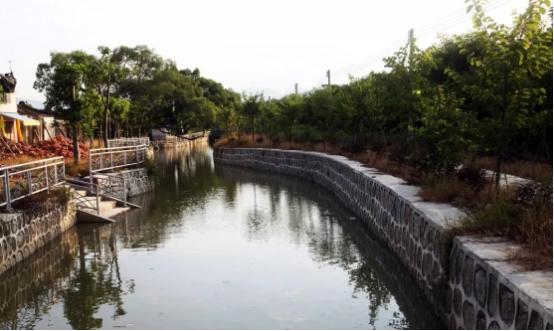 乡村振兴让农民在家门口赚到钱,碧桂园乡村振兴