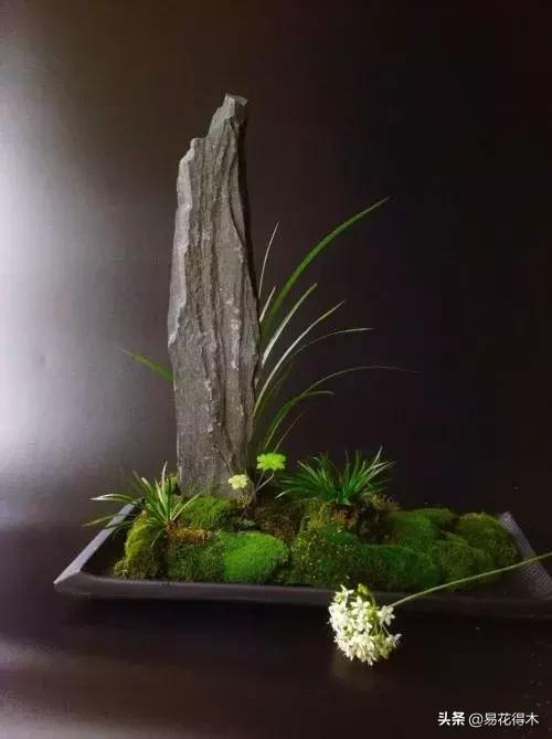 赞美菖蒲盆景的诗句,盆景诗词经典赏析