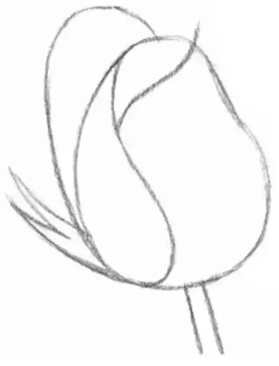 鐜懓绱犳弿鏁欑▼,绱犳弿鐜懓鐢绘硶鏁欑▼