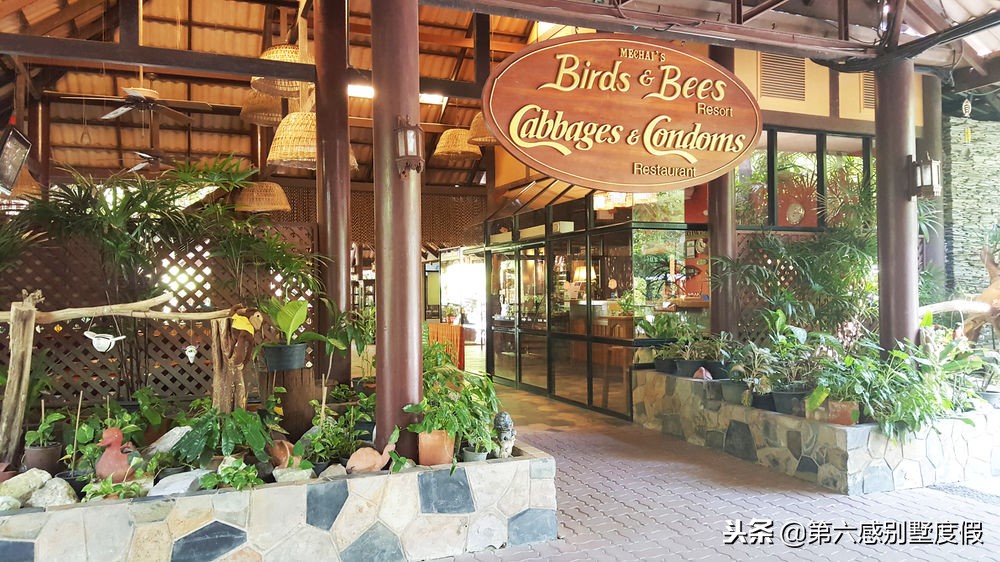 小众旅游打卡点风景绝美,5月适合打卡的小众旅游地