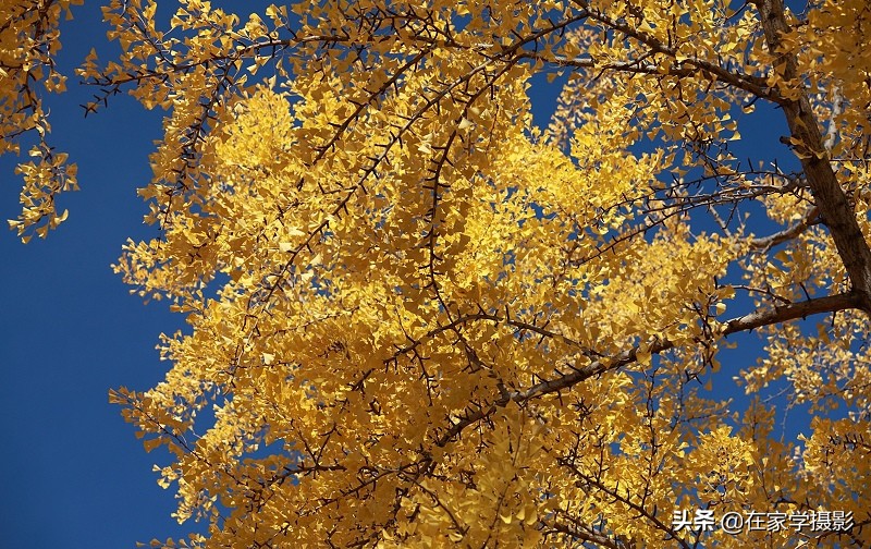 卡色uv镜和偏振镜哪个好,uv镜cpl偏光镜